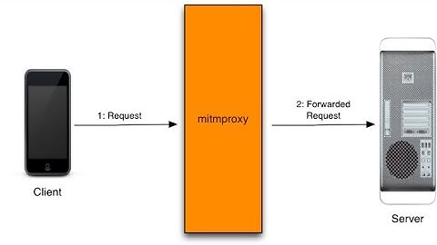 How to use a man in the middle proxy using (mitmproxy) in linux