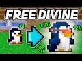 Ultimate guide to a free divine pet rotmg 2024