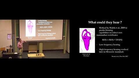 Reptile to Mammal 02 Julien Benoit