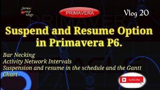 Suspend and Resume Activity in Primavera P6. screenshot 5
