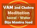 VAM 2nd Chakra Meditation - Sacral - Water (Bija Mantra Seed)