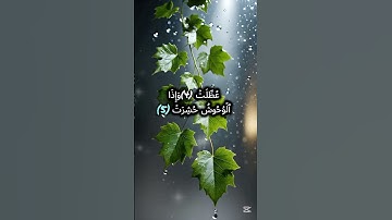 إذا الشمس كورت | بصوت عبد الباسط عبد الصمد | تلاوة تهز القلوب من سورة التكوير