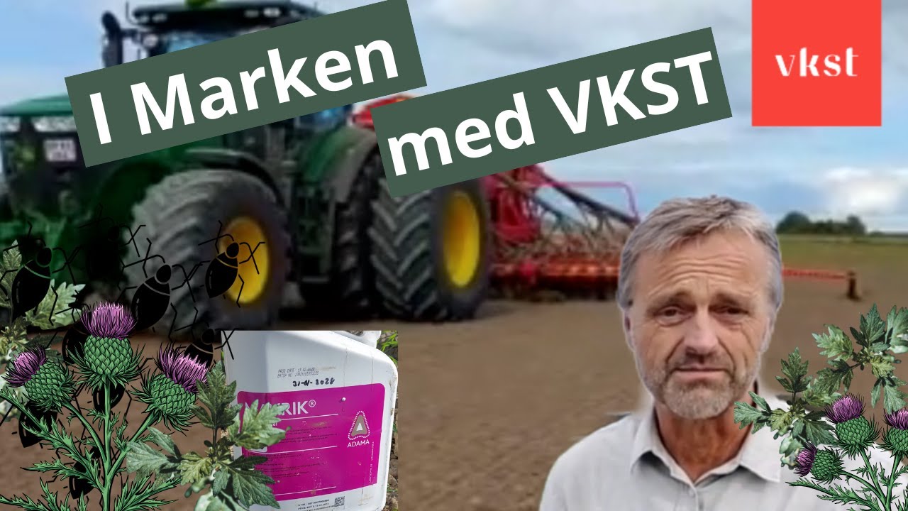 I Marken med VKST | Uge 40 2025