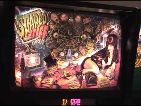 "Elvira Scared Stiff" - Pt. 9: My Pinball Collecti...