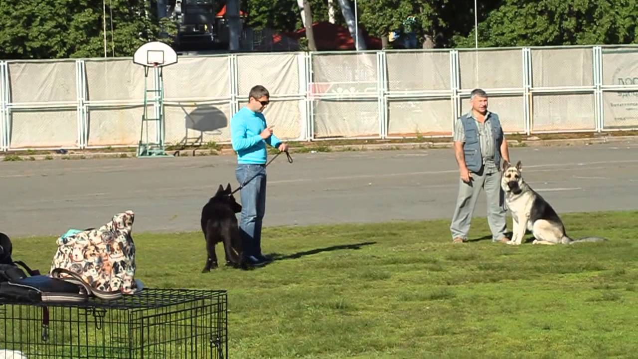 Тсж веста пермь