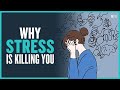 The neuroscience of stress  jim poole  modern wisdom podcast 342