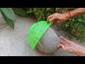 Cement Craft ideas for Garden || Simple &amp; Easy DIY Flower Pot