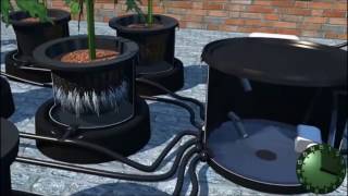 How The Iws Flood And Drain Hydroponics System Works