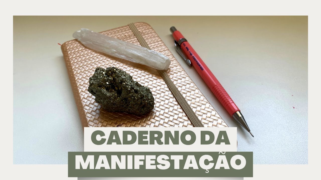 CADERNO DA MANIFESTAÇÃO, como montar? #leidaatração | bia santos