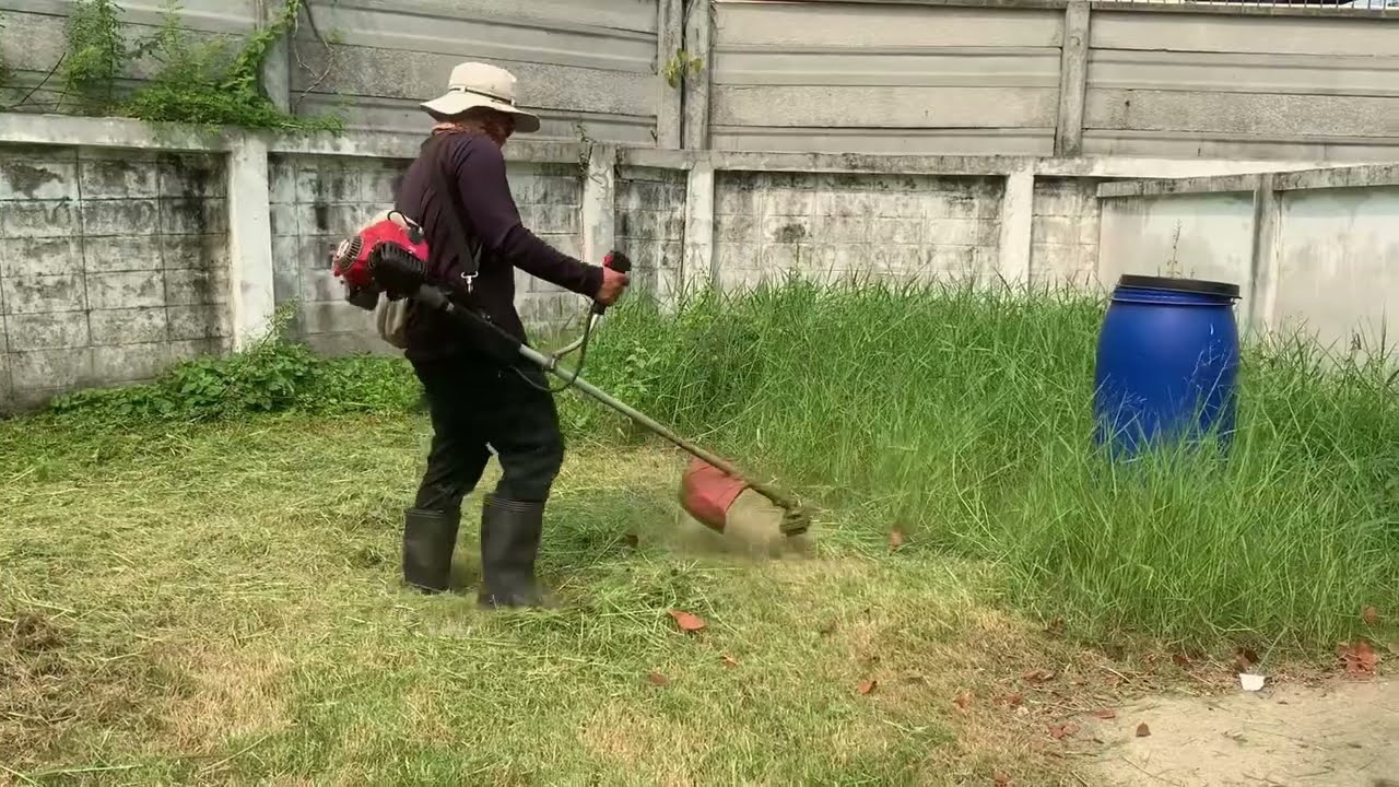 Cutting the grass after 3 months party 2_EP2 by Mr yann