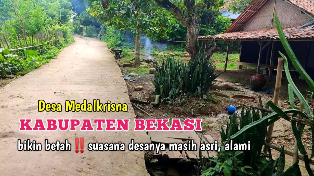 Suasana Desa Medalkrisna, Bojongmangu  Kabupaten Bekasi Jawa Barat