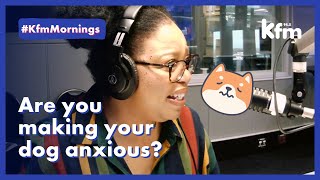 Are you making your dog anxious?