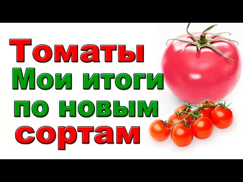 ОБЗОР ИТОГОВ ПО НОВЫМ СОРТАМ ТОМАТОВ.