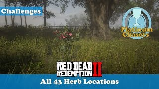 All 43 Herb Locations (Herbalist Challenge #9) - Red Dead Redemeption 2