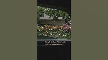 هدوء و سكينة #قرآن #القرآن_الكريم #قران_كريم #راحة_نفسية #رمضان #سورة #فضل #فلسطين #song #love#حديث