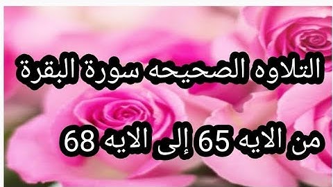 التلاوه الصحيحه سورة البقرة من الايه 65 إلى الايه 68 عبد الشافي الكومى 2022