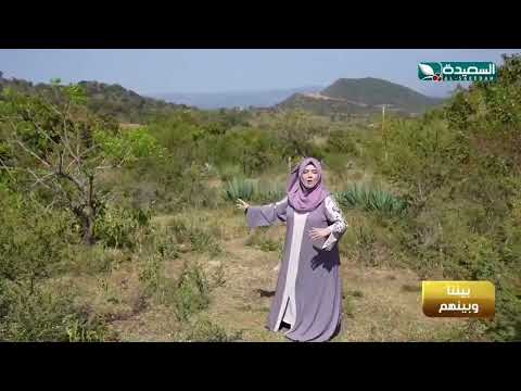 مدى تشابه الطبيعة الخلابة و المناظر الساحرة بين اليمن و إثيوبيا
