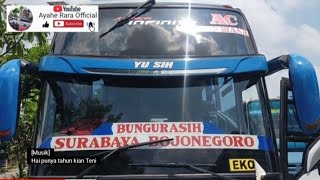 (Eksterior Bus Ke-66) PO. WIDJI LESTARI 'YU SHI' Infinity Trisakti #widjilestari #infinity #trisakti