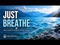 Blue Waves for a Tired Mind | Visual ASMR & Peaceful Water Therapy #asmr #life #water #relaxing