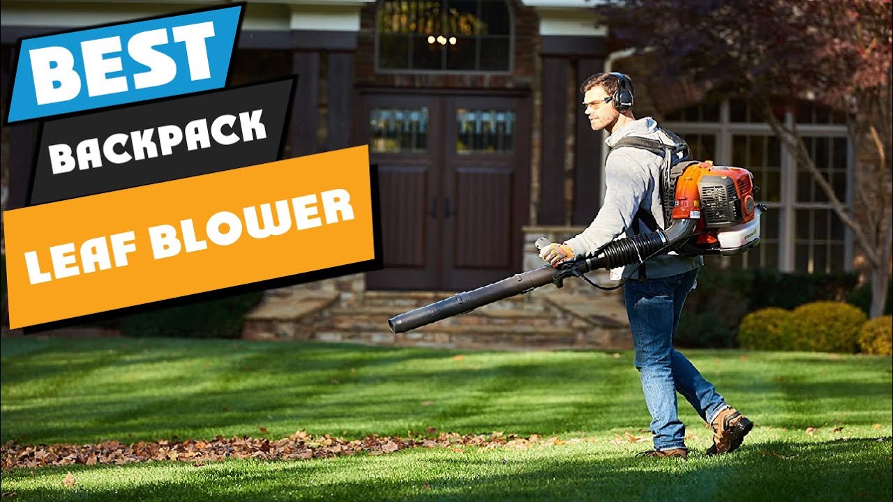 Best backpack 2024 leaf blowers 2020
