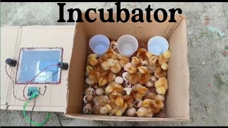 DIY How To Make Egg Incubator With CARDBOARD BOX Easy || Homemade Incubator For Chicken Eggs