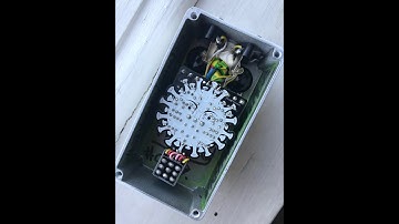Quarantine Fuzz (PedalPCB) with 