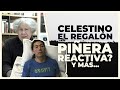 El preferido Celestino | E491