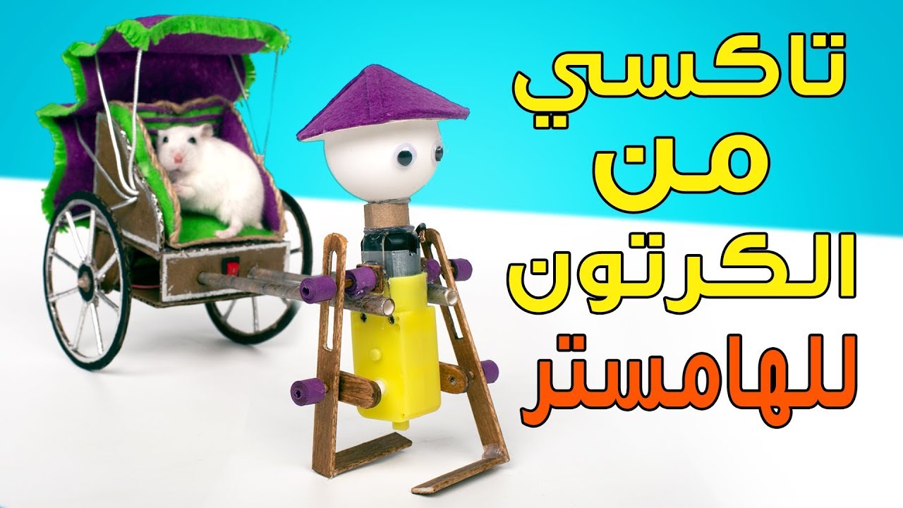 عربة من الكرتون للهامستر