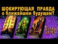 ШОКИРУЮЩАЯ ПРАВДА О БЛИЖАЙШЕМ БУДУЩЕМ!/на любовь/на будущее/гадание таро онлайн/новые видео