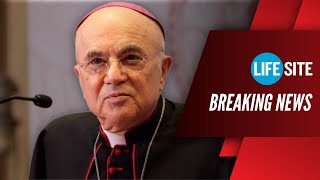 Servants of Satan’: Archbishop Viganò responds to Pope Francis ‘blessings’ for homosexual couples