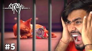 MY CAT TRAPPED IN A JAIL | STRAY GAMEPLAY #5