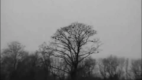 Eels - I need some sleep