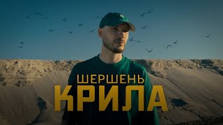 Шершень - Крила