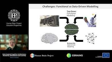 Goebel Rainer - Brain-Inspired Cognitive Architectures: Modularity, Embodiment and Learning