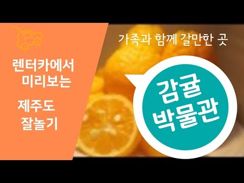 감귤박물관 -내가 다녀온 제주도 무료관광지 끝판 영상시리즈 -  제주도가족여행코스 레전드 ~ 이곳 만큼은 보고오자  뜻밖의 제주도 가족관광지코스(제주삼촌)