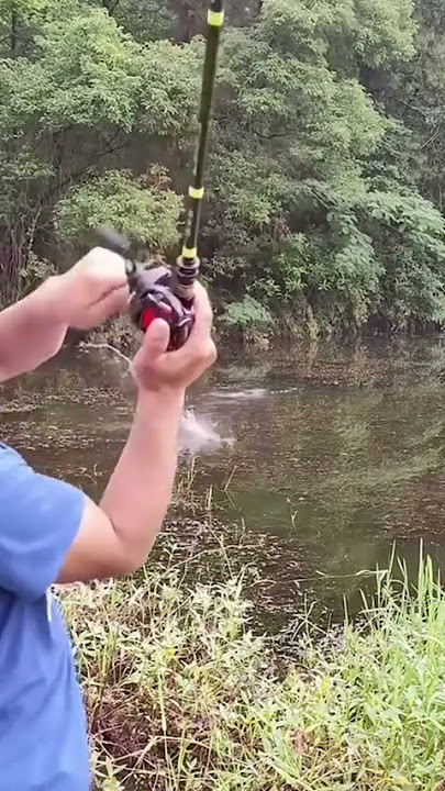 perhatikan baik-baik, cara casting ikan gabus orang ini, bikin kaget....