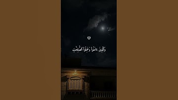 تلاوة خاشعة ومعبّرة بصوت ماهر المعيقلي 🤍