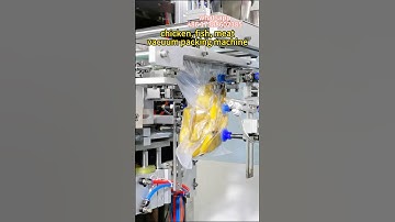 automatic vacuum packaging machine for chicken, fish, meat etc. Mini Vacuum Packing Machine