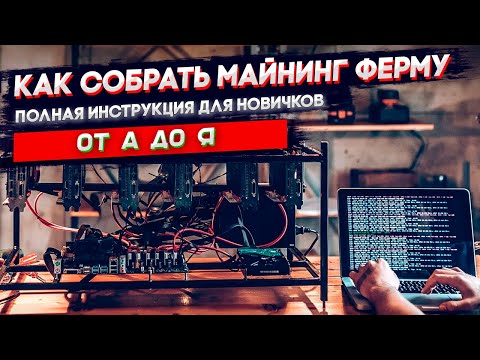 Сборка майнинг фермы с нуля. Инструкция для новичка 2022