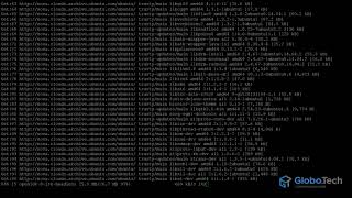How to Setup a Minecraft Server on Ubuntu 14 screenshot 4
