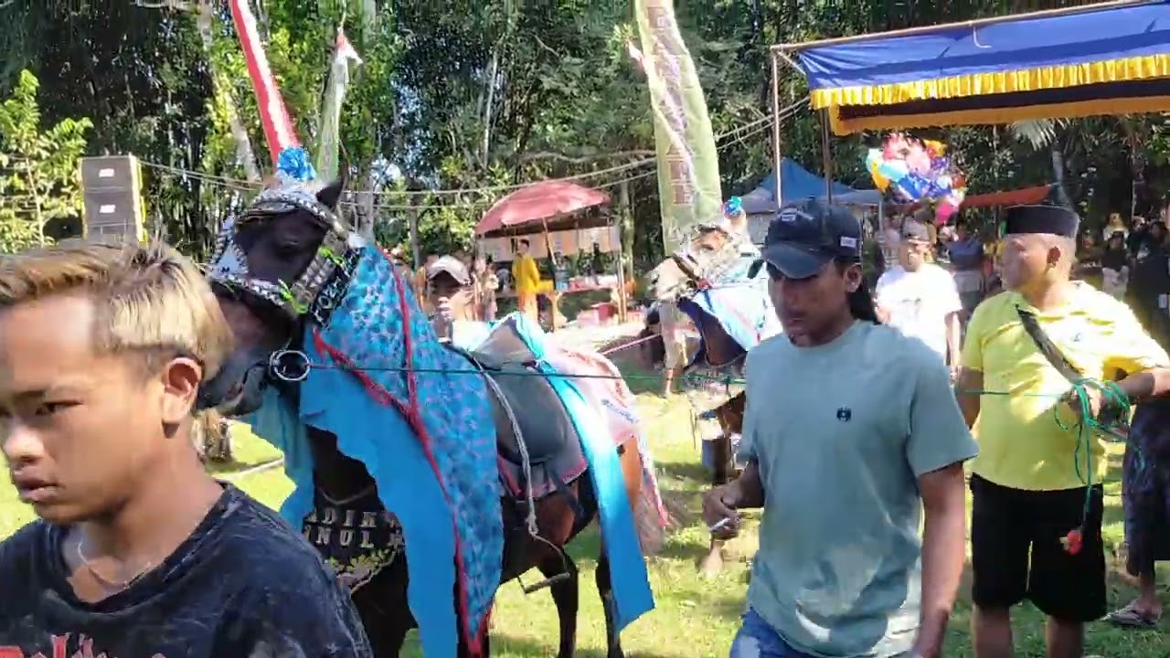 Kuda kenchir di rubaru Sumenep madura