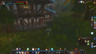 WOW bug.wmv