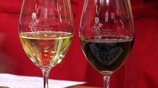 Cincinnati International Wine Festival returns in-person with 700 wines