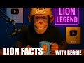 Why Lions Are the Real Kings (Even Without a Jungle)