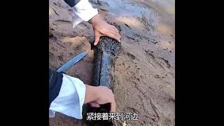 奇怪的发现