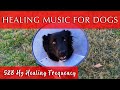 Healing music for dogs and humans 528 hz frequency