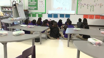 Schools react to Austin-Travis County mask mandate