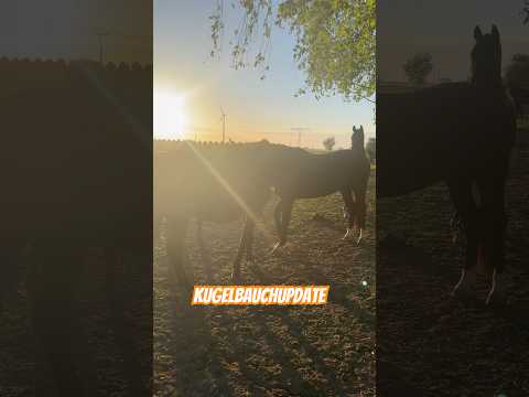 Der Start in den Tag