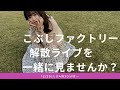 『こぶしファクトリー ライブ2020～The Final Ring～』を一緒に見よう生配信