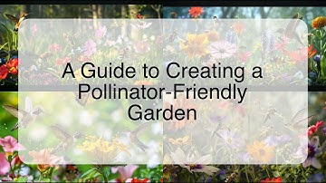 A Guide to Creating a Pollinator-Friendly Garden